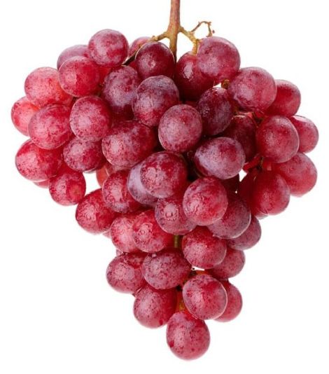 Stolové červené hrozno Red globe